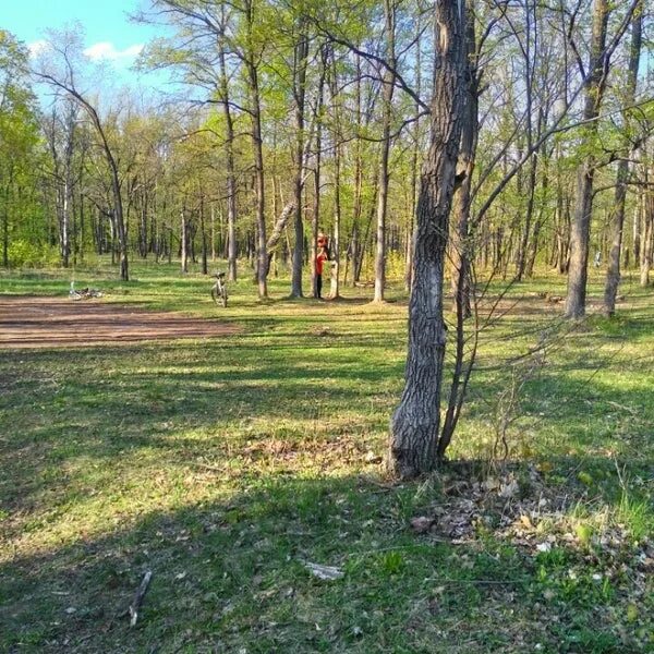 Парк ушакова ульяновск парк ушакова фото Парк им. адмирала Ушакова - Park in Ульяновск
