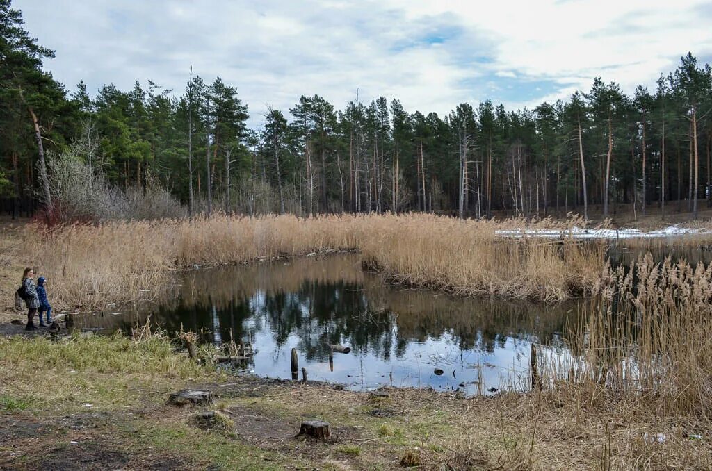 Парк утиное озеро дзержинск фото Скачать фотографию ДЗЕРЖИНСК УТИНЫЙ ПАРК № 51