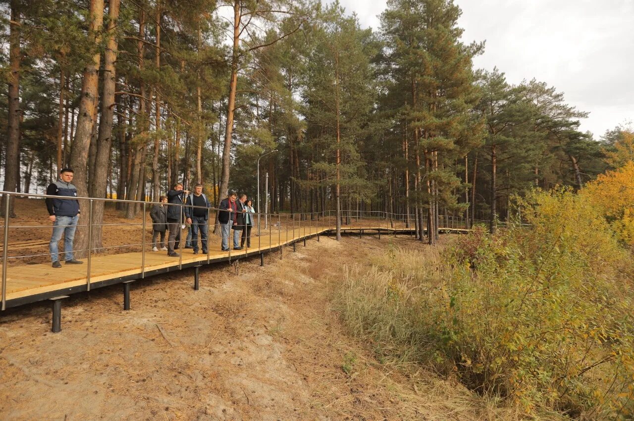 Парк утиное озеро дзержинск фото Спортплощадки и "беседку для молодоженов" установили в дзержинском парке "Утиное