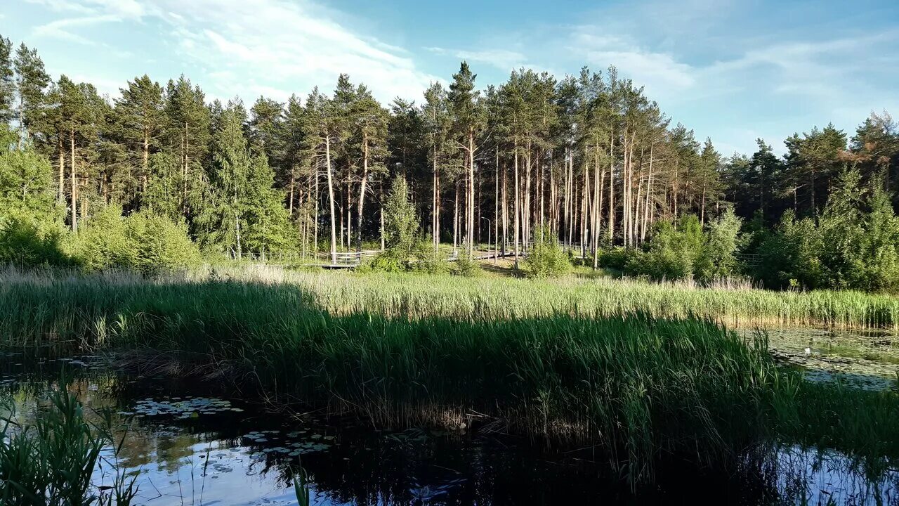 Парк утиное озеро дзержинск фото Photo: парк Утиное озеро, park, Russia, Nizhniy Novgorod Region, Dzerzhinsk, par