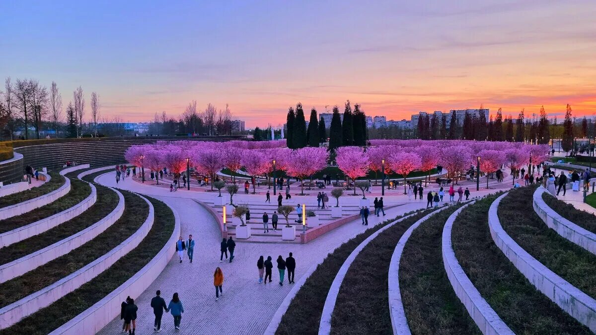 Парк в краснодаре фото 2023 Цветение сливы в парке Галицкого в Краснодаре сегодня. За красивыми фоточками лю