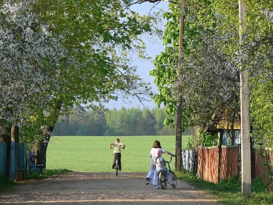 Парк в селе фото Мне бы в Детство... в юность на денек (Галина Барская 5) / Стихи.ру