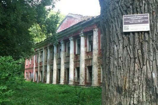 Парк воксал тверь парк воксал фото Табличку у дуба-старожила в Твери испортили вандалы - МК Тверь