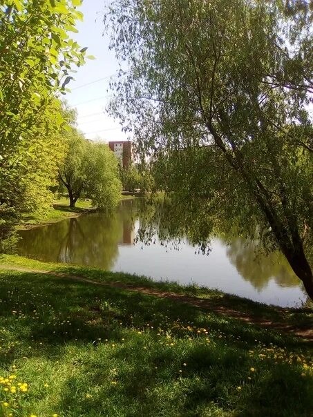 Парк воронежские озера самара фото The Voronezh Lakes 2023 Самара Город Новости Самары VK