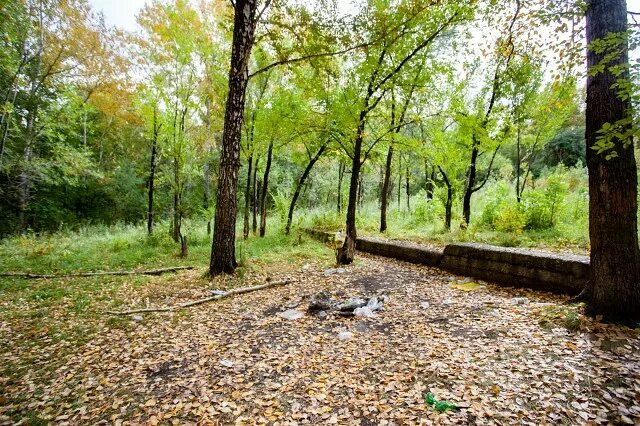 Парк юбилейный барнаул фото ТОП-7 самых странных/страшных мест Барнаула. OK.RU