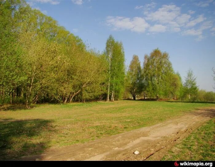 Парк юбилейный кстово фото Городской парк - Кстово лес