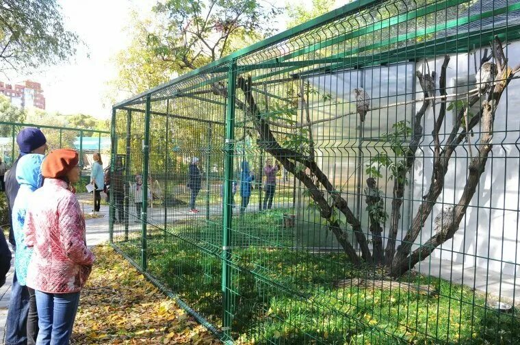 Парк юннатов омск парк юннатов фото Парк Юннатов, парк культуры и отдыха, Россия, Омск, парк Юннатов - Яндекс.Карты