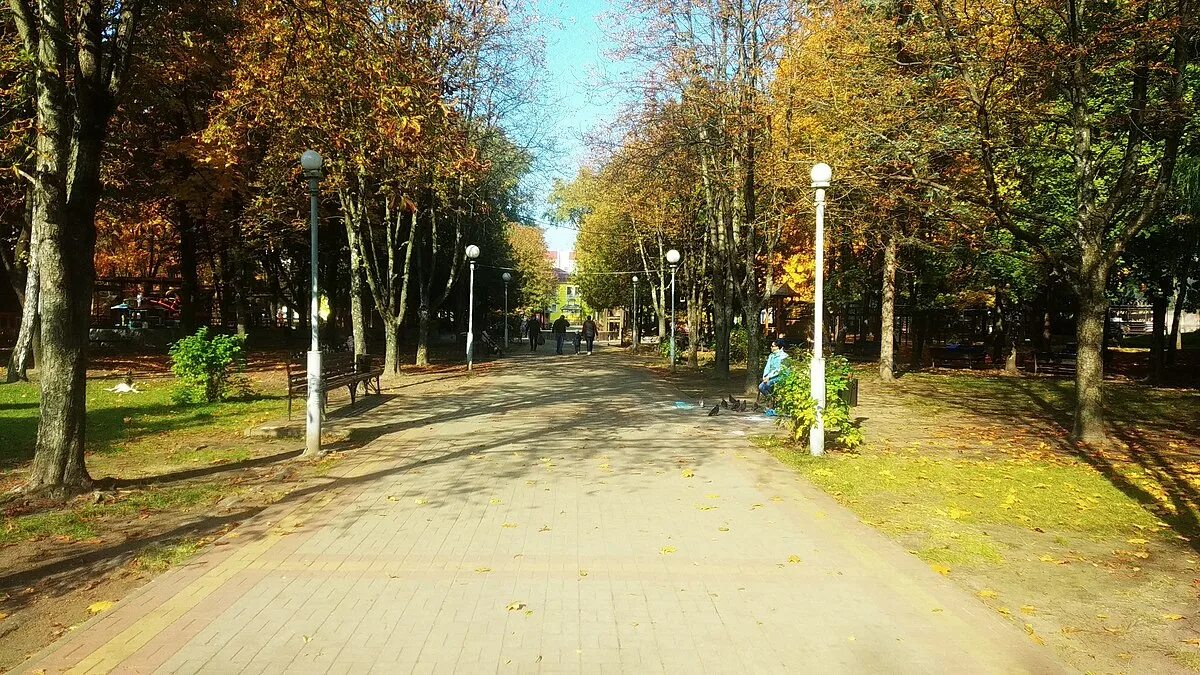 Парк юность ульяновск парк юность фото File:Парк Юность осенью.jpg - Wikimedia Commons