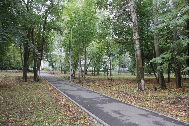 Парк юность ульяновск парк юность фото В Ульяновске планируют развивать территорию парка "Юность" Улпресса - все новост
