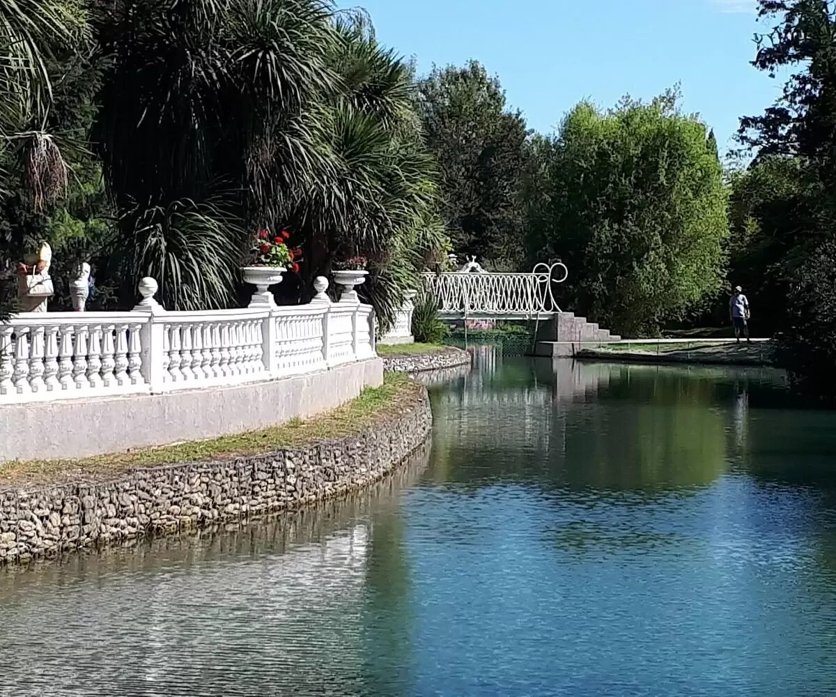 Парк южные культуры фото Парк "Южные культуры" Сочи, Адлер, расположение на карте, фотографии, описание