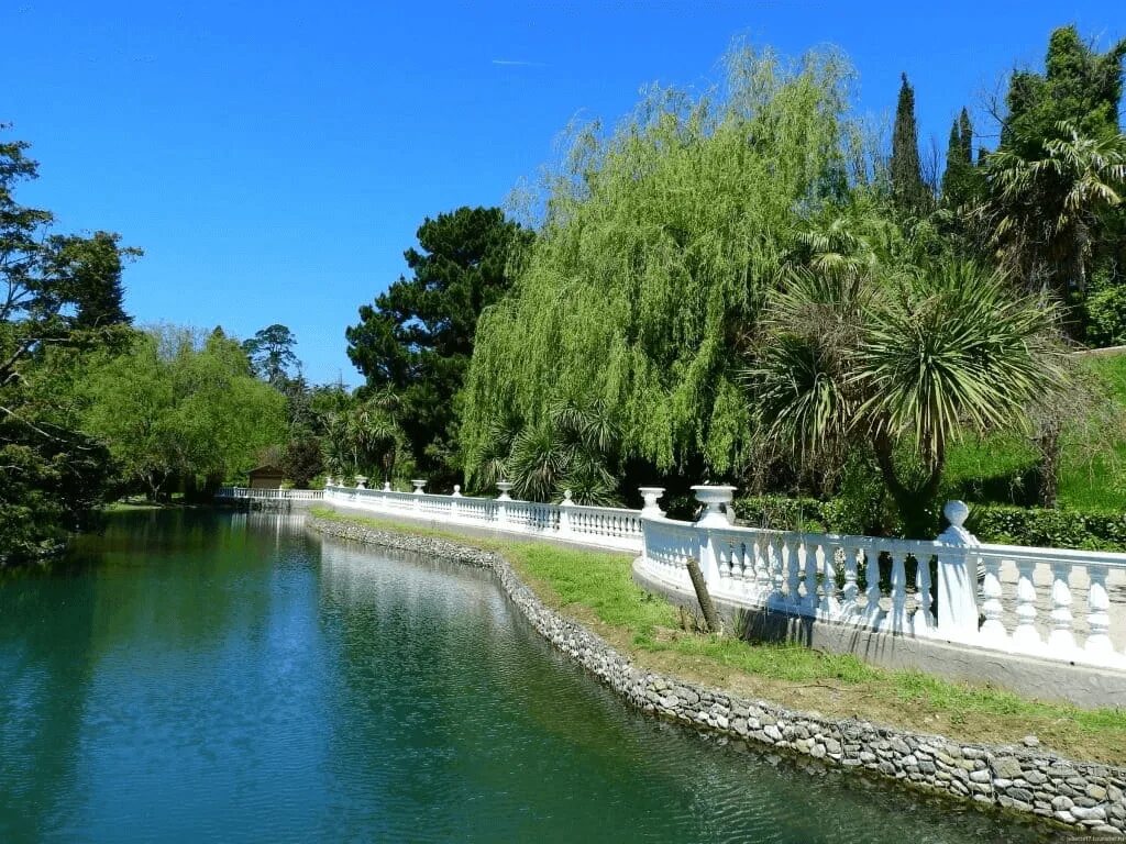 Парк южные культуры сочи фото Southern cultures - Excursions of the city-hotel "Barkhatnye sezony" Sochi