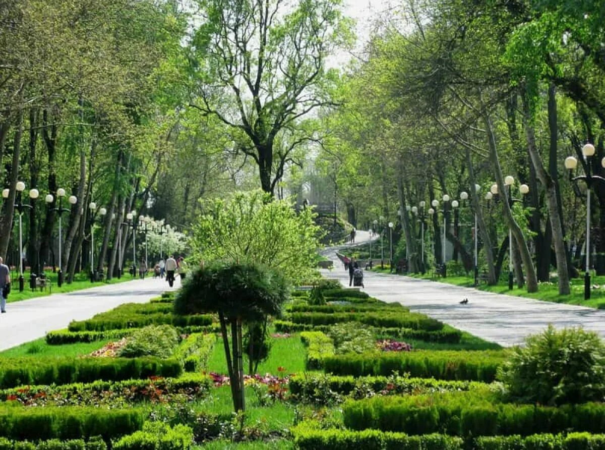 Парки краснодара фото с названиями и описанием Краснодарские парки (много фото) - viewsnap.ru
