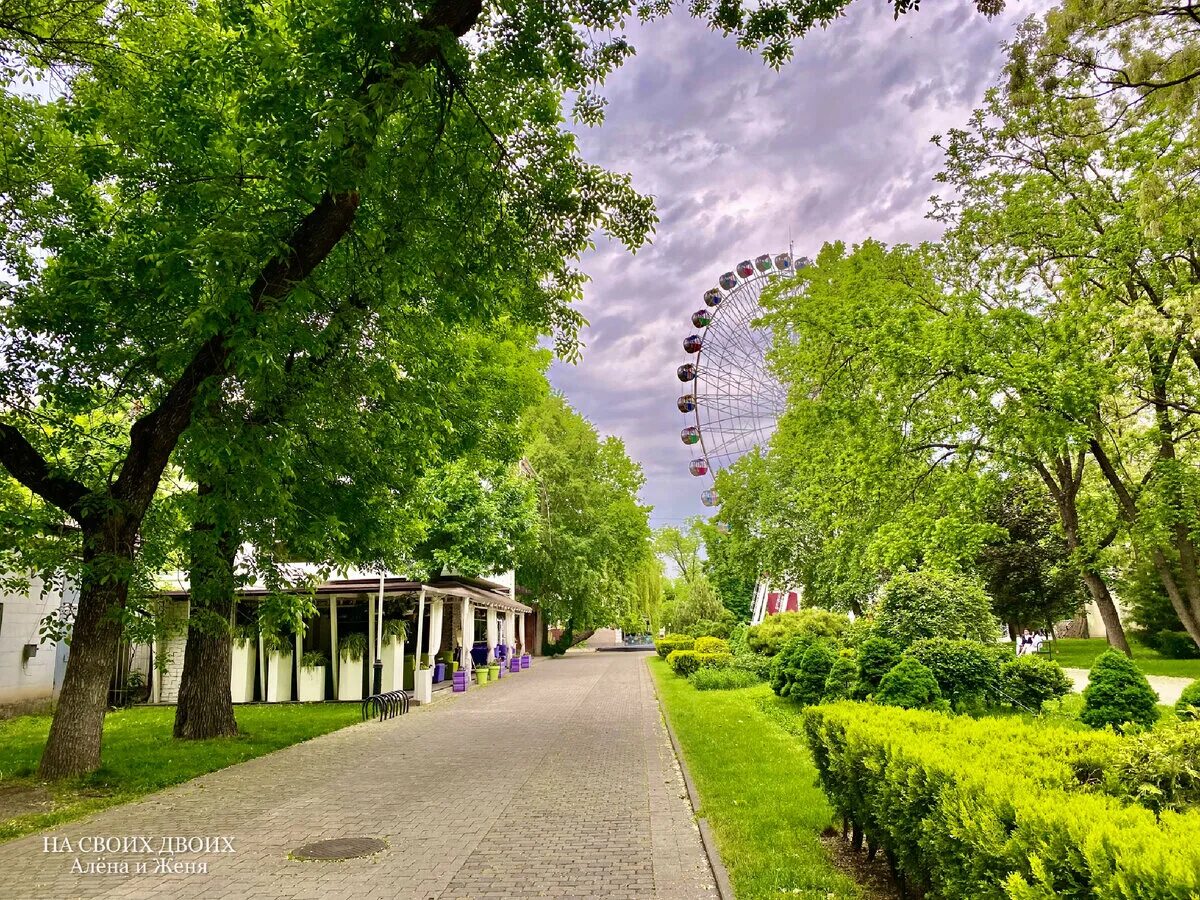 Парки краснодара список с фото Самый уютный парк в Краснодаре - Городской сад. "Кусочек Крыма" в центре города 