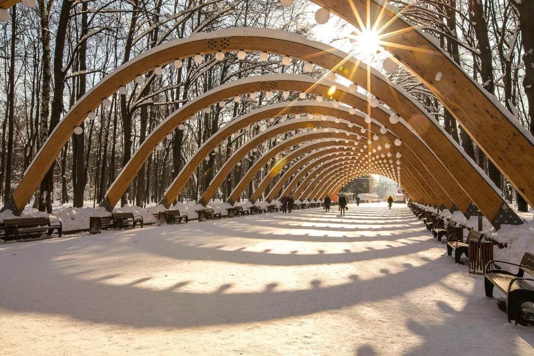 Парки москвы сегодня фото Сокольники" и февраль: чем успеть заняться в парке зимой - ParkSeason