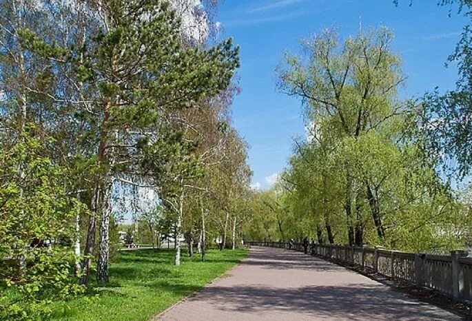 Парки омска фото Защитники деревьев в парке имени 30-летия ВЛКСМ устроят митинг у стен мэрии Омск