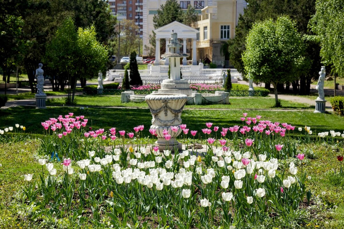 Парки ростова на дону список с фото Не хватает только туалетов и лавочек: пользователи высоко оценили парки Ростова-