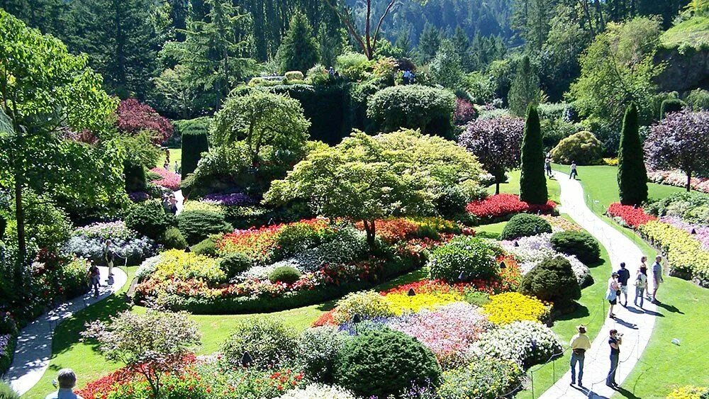 Парки сады фото Vancouver Island Tourism in Canada Rock garden, Rock garden design, Dry garden