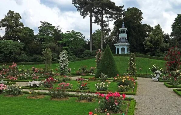 Парки сады фото Обои по теме Bagatelle Rose Garden