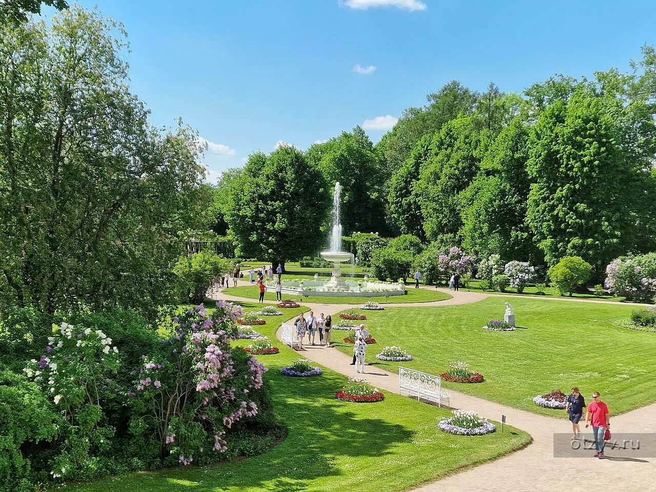 Парки санкт петербурга фото Петербург, июнь, дворцы и цветущие парки - рассказ от 21.06.22