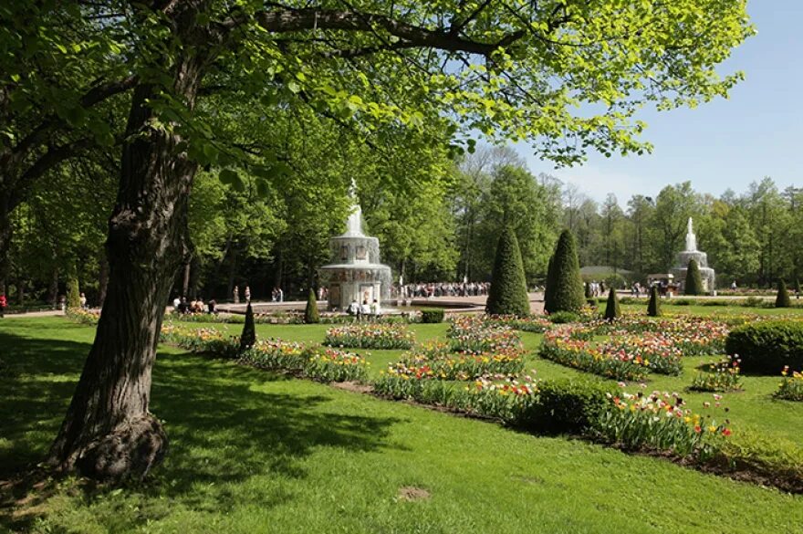 Парки санкт петербурга фото Ретропоезда из Петербурге: 5 маршрутов для путешествия Sobaka.ru
