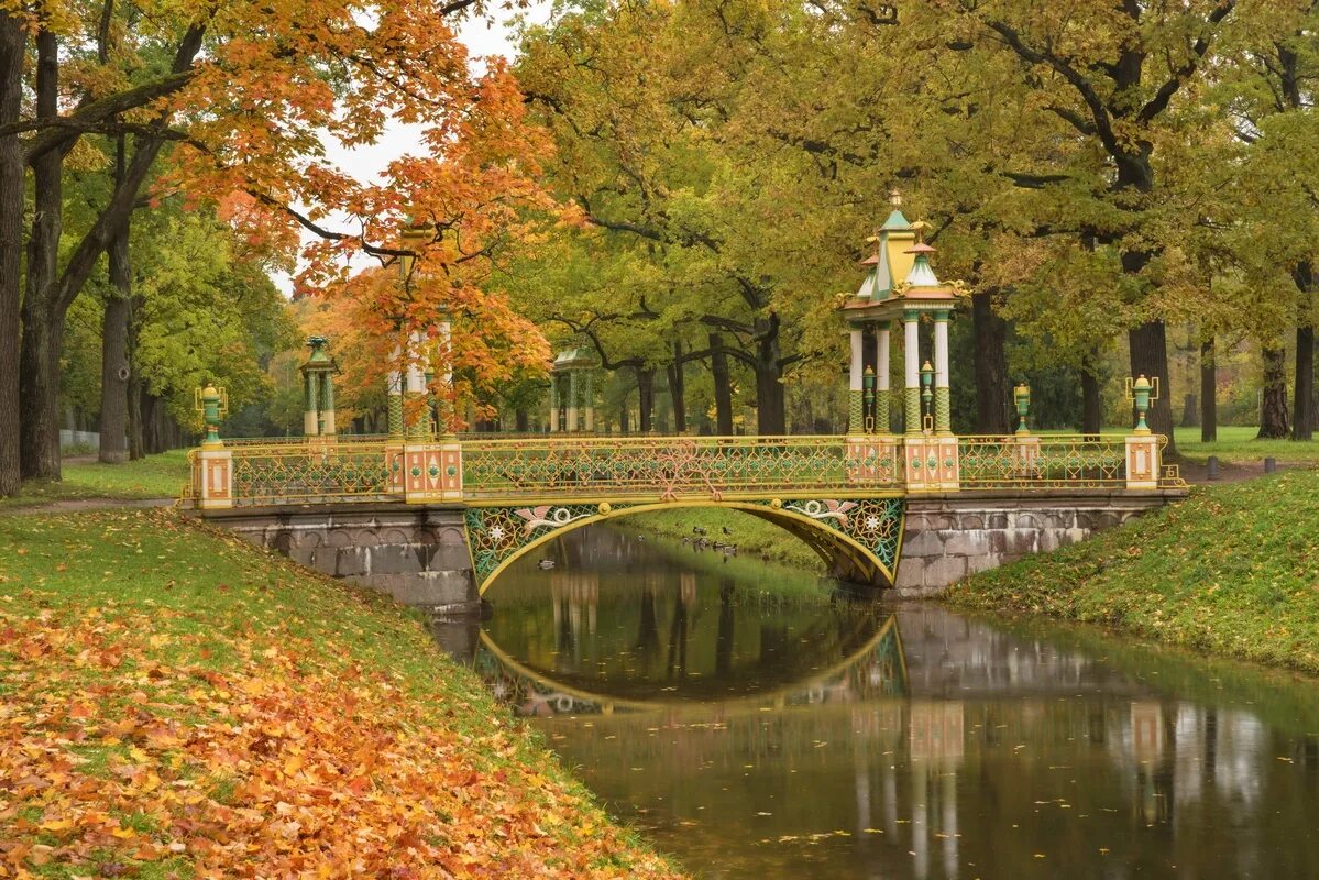 Парки санкт петербурга фото Постеры на стену мост, река, парк, aртикул: 11663 спб 4