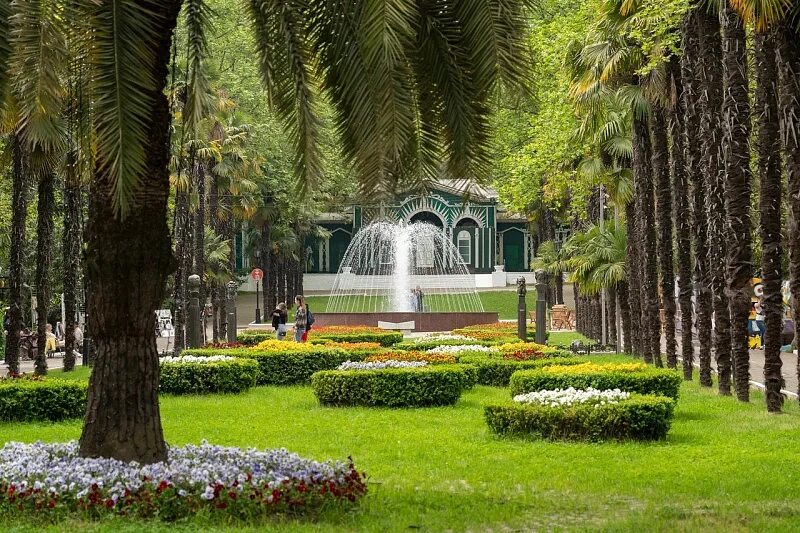 Парки сочи фото с названиями Администрация города Сочи - Глава Сочи Алексей Копайгородский проинспектировал п