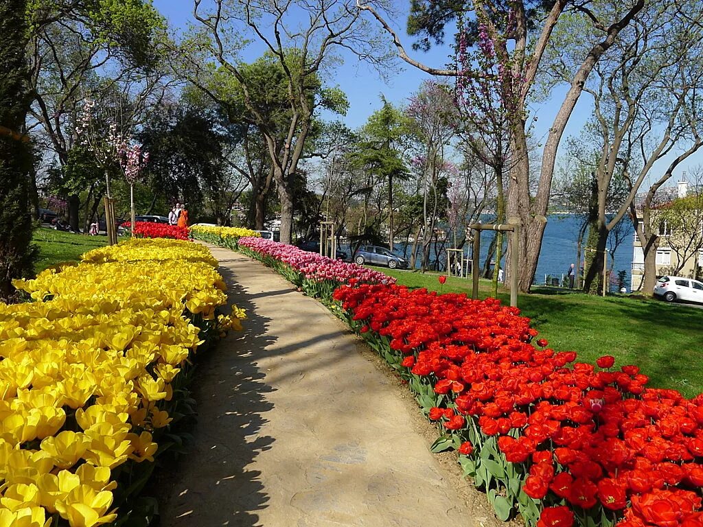 Парки турции фото Istanbul-Emirgan Park travel photo Brodyaga.com image gallery: Turkey, Istanbul