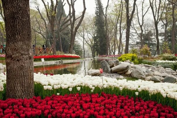 Парки турции фото Эмирган
