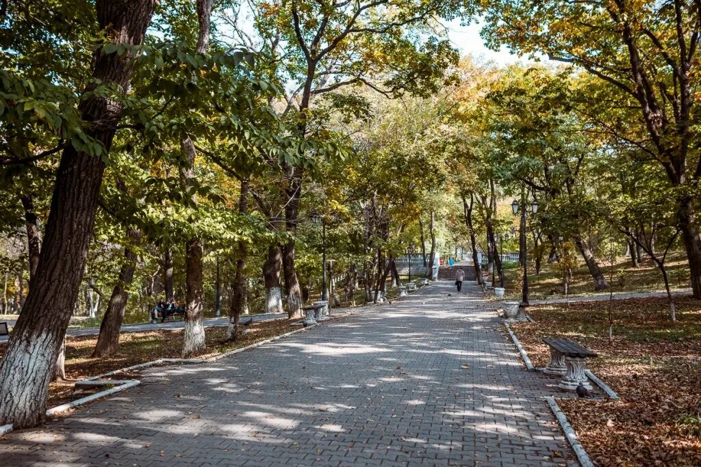Парки владивостока фото Картинки парки владивосток (70 фото)