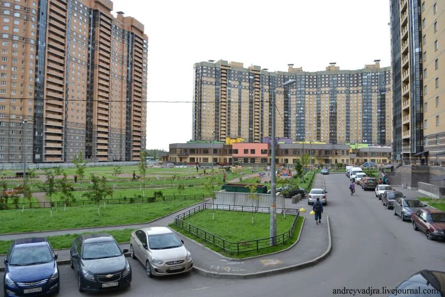 Парнас спб фото Картинки ПАРНАС ВИДЫ