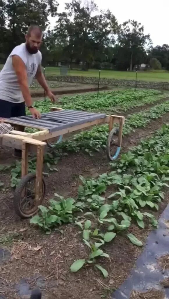 Парни самодельный This ingenious and comfortable way to take care of weeds. Also a good way to cut