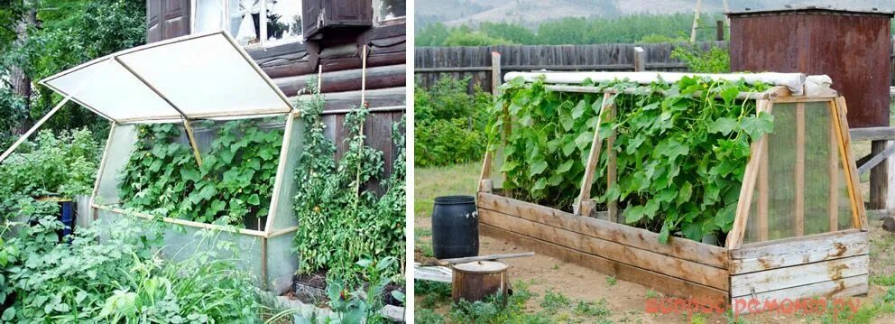 Парник для огурцов своими руками фото Парник своими руками: чертежи, как сделать, варианты
