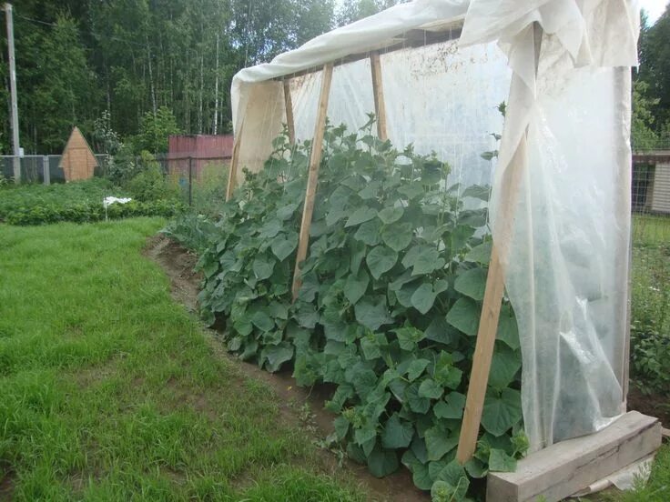 Парник для огурцов своими руками фото Чего только не придумают!!! Garten hochbeet, Garten, Hochbeet