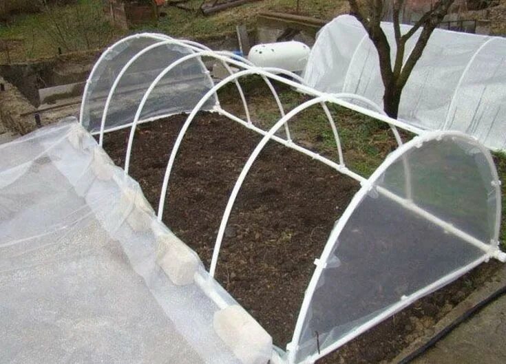 Парник из пластиковых труб фото Теплицы из труб 200 фото Arco da giardino, Giardinaggio, Giardino