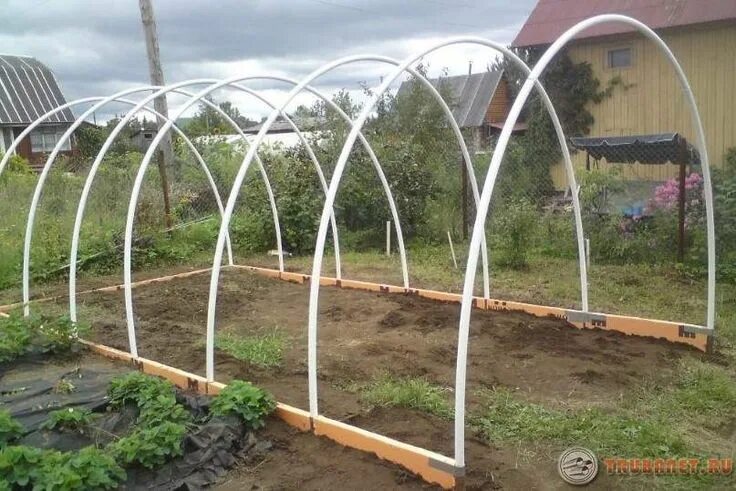 Парник из труб своими руками фото Теплица из полипропиленовых труб своими руками Garden arch, Garden bridge, Green