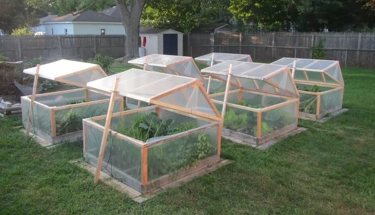 Парник под огурцы своими руками фото These are my mini greenhouses for winter gardening. They open for venting; they 