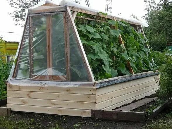Парник своими руками фото Winter Greenhouse: A Guide to Year-round Gardening