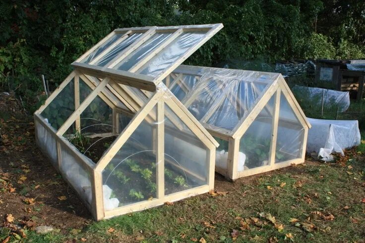 Парник своими руками фото Mini-greenhouses Serre jardin, Maison verte, Jardin surélevé