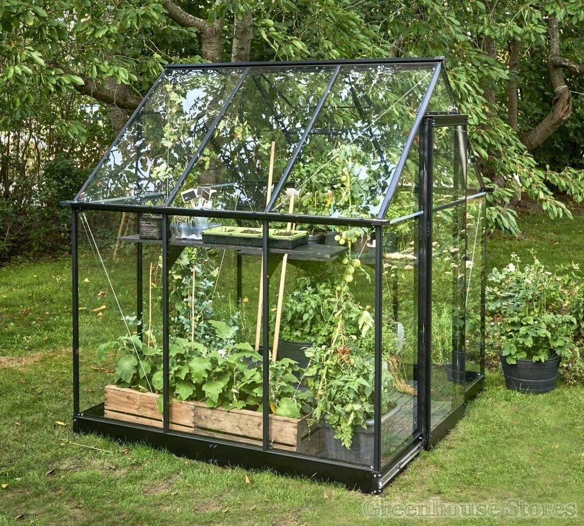 Парники для дачи фото 6x6 Halls Qube Greenhouse Greenhouse Stores Дизайн сада камней, Дизайн сада, Иде
