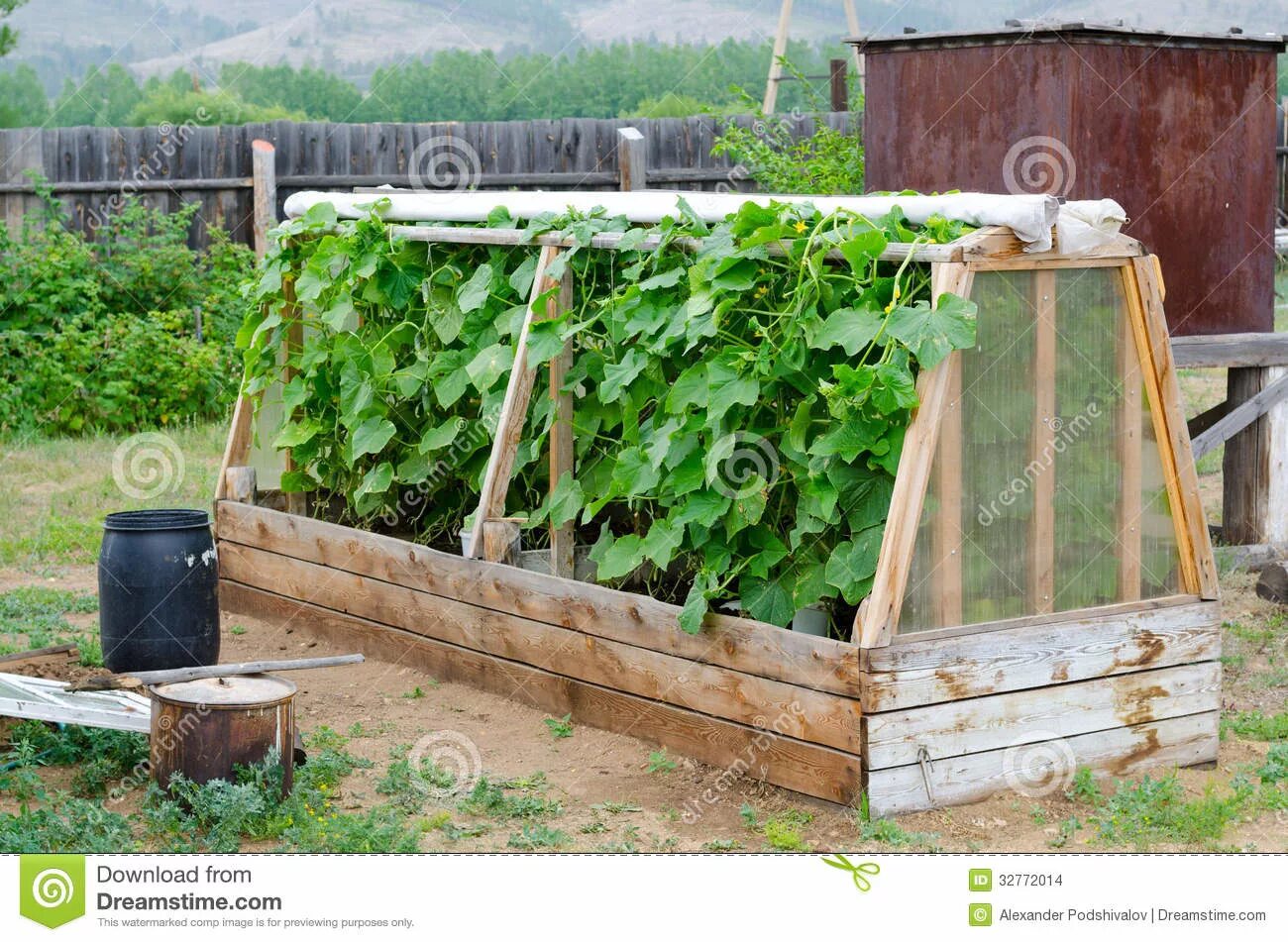 Парники для дачи своими руками Cucumber hotbed stock photo. Image of handmade, green - 32772014