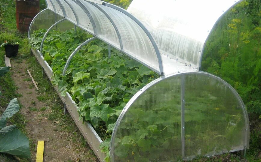 Парники под огурцы фото Ростеплица, тепличное оборудование, Совхозная ул., 1Б, д. Козино - Яндекс Карты