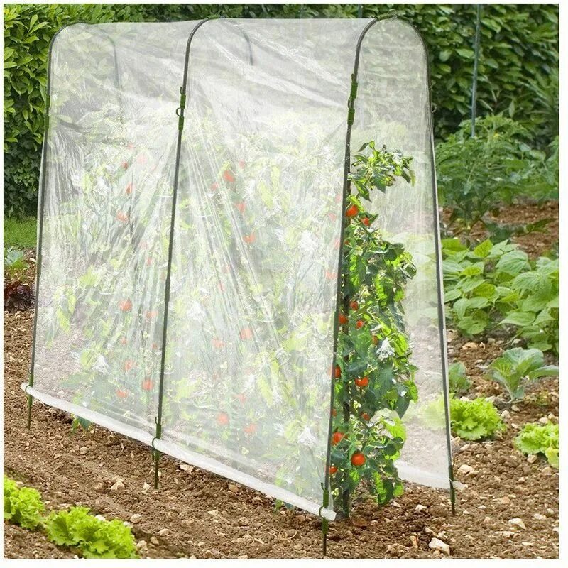 Парники под огурцы фото Serre de jardin Serre a tomate, Serre jardin, Arche jardin