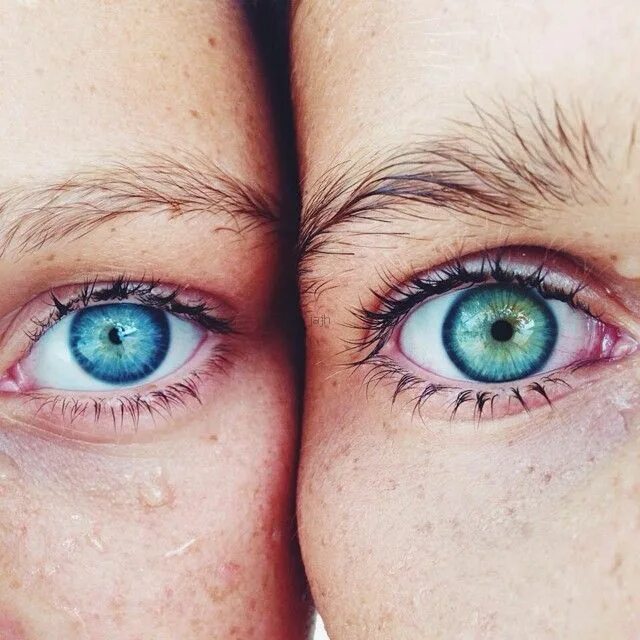 Парное фото глаз Bridge & Burn Beautiful eyes color, Cool eyes, Aesthetic eyes