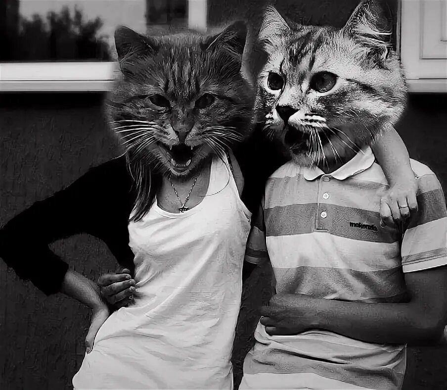Парные фото котики на аву Марьяна (@POLINCHICK) - 396 ANSWERS, 259 LIKES ASKFM