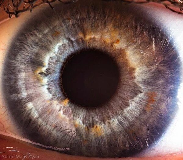 Парные фото радужки глаза Extreme Close Ups of the Human Eye…A lot of them..Very Interesting…Very Strange.
