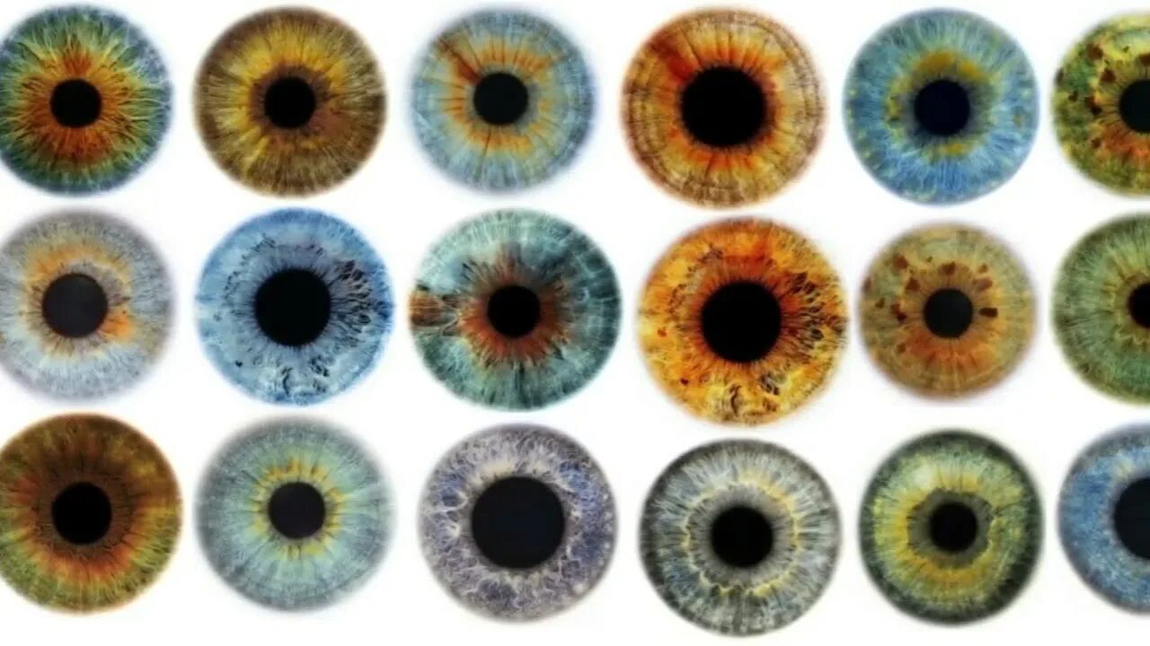 Парные фото радужки глаза Turns Out All Blue Eyed People Have A Very Weird Thing In Common That Few Realiz