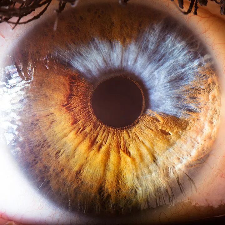 Парные фото радужки глаза Suren Manvelyan - Your Beautiful Eyes Фотография глаза, Туманность ориона, Фотог