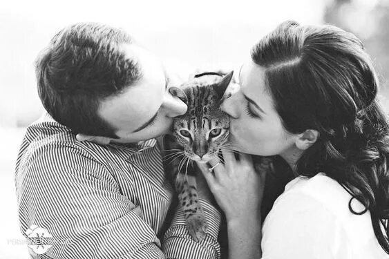 Парные фото с котиками Pin on Cat Facts