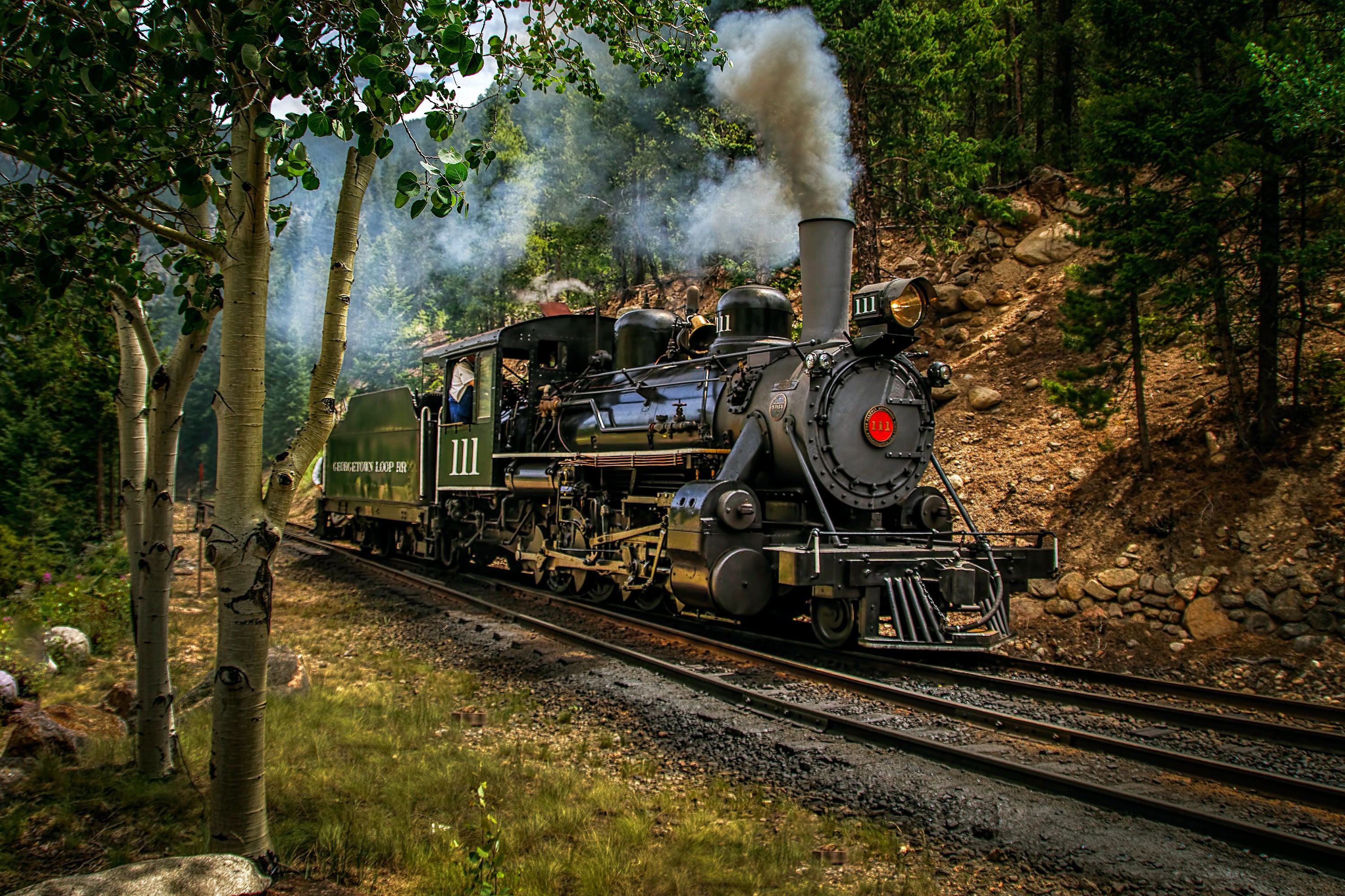 Паровоз летняя ул 20 фото Beautiful Locomotive