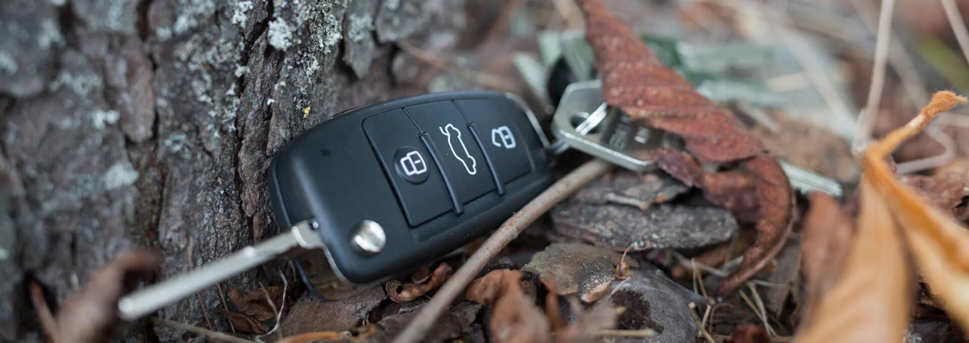 Парс фото с поиска по ключ запросу Защита для ключа. - Hyundai Creta (1G), 2 л, 2021 года аксессуары DRIVE2